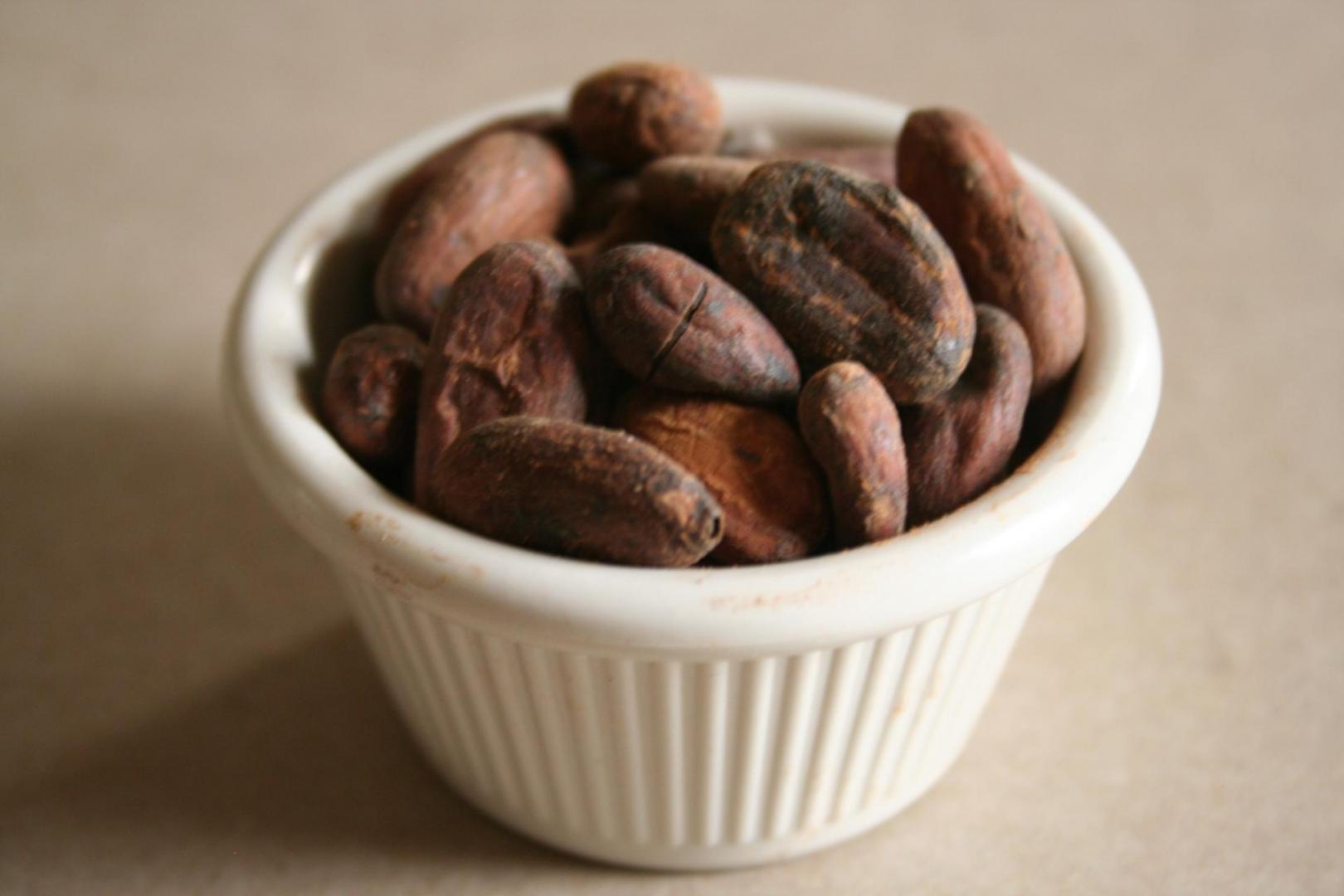Premium quality Organic Cocoa Beans from Sri Lanka Ekowarehouse